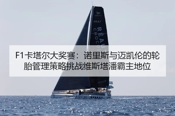 F1卡塔尔大奖赛：诺里斯与迈凯伦的轮胎管理策略挑战维斯塔潘霸主地位